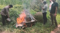 Bikin Kegaduhan Pemberitaan yang Diduga Adanya Tempat Perjudian Sabung Ayam di Jatikalang,Polisi Langsung Cek Lokasi