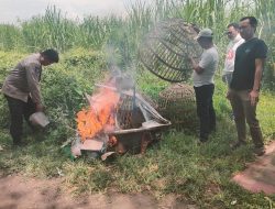 Bikin Kegaduhan Pemberitaan yang Diduga Adanya Tempat Perjudian Sabung Ayam di Jatikalang,Polisi Langsung Cek Lokasi
