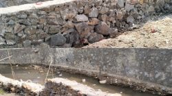 Diduga Bermasalah, Proyek Irigasi Rp2,25 Miliar di Way Gunung Kasih Tanggamus Disorot Warga