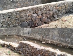 Diduga Bermasalah, Proyek Irigasi Rp2,25 Miliar di Way Gunung Kasih Tanggamus Disorot Warga